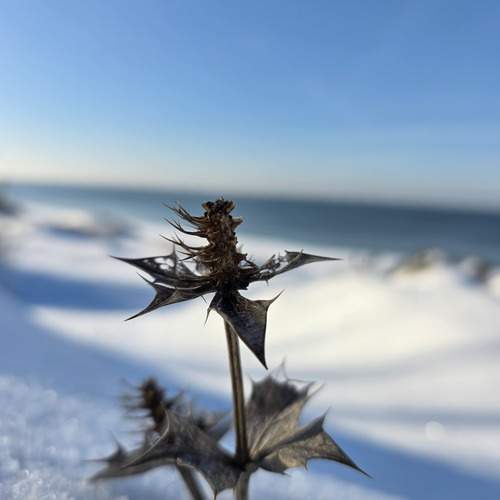 Photo #13162138