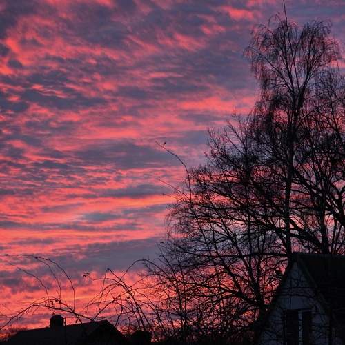 Photo #13162141
