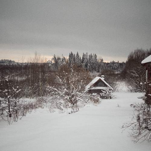 Фотография #13162209