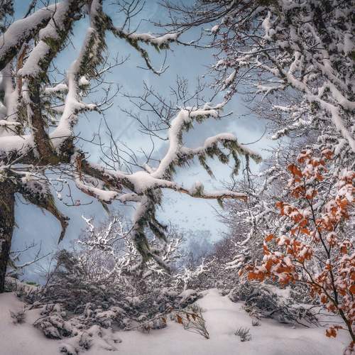 Фотография #13162211