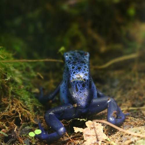 Photo #13162254