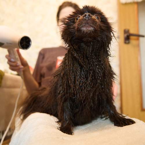 Фотография #13162291