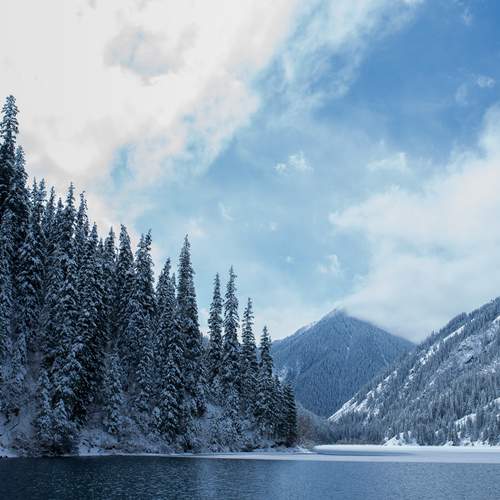 Photo #13162370