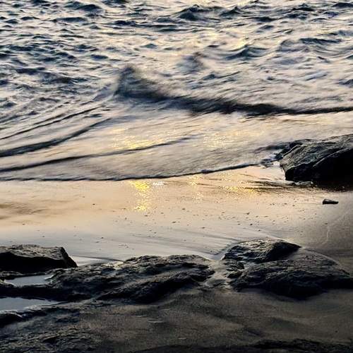 Photo #13162403