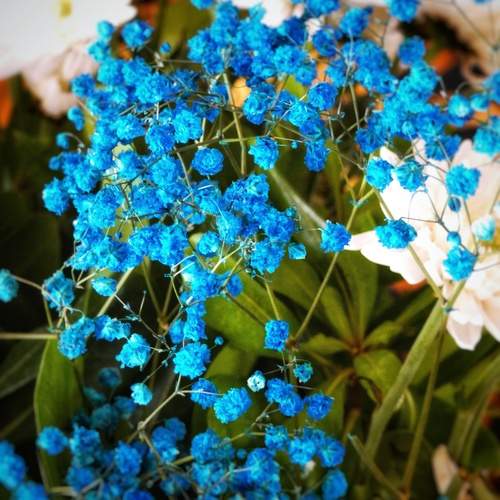 Photo #13162405