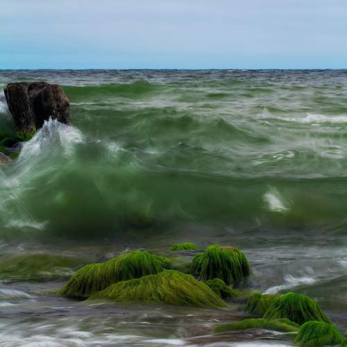 Фотография #13162444