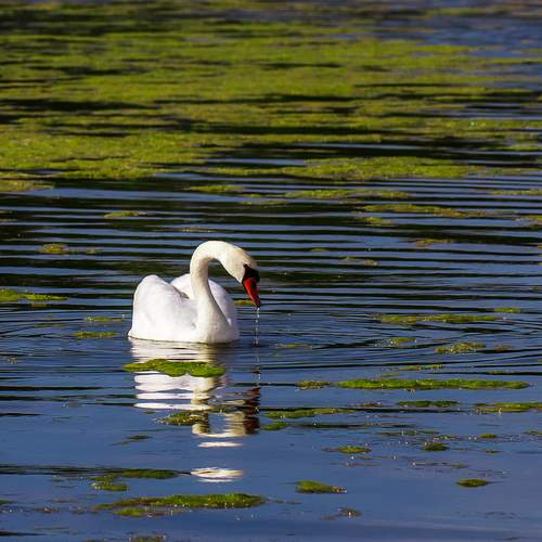 Фотография #13162454