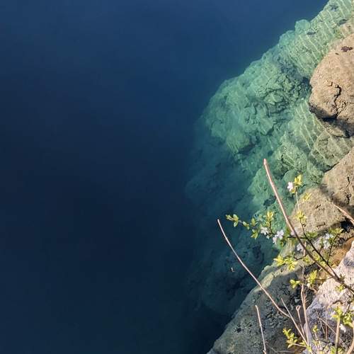 Photo #13162502