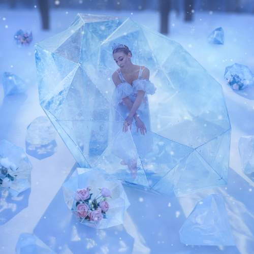 Photo #13162644