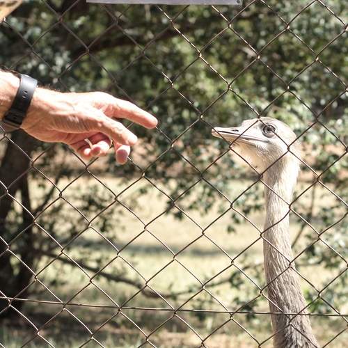 Photo #13162650
