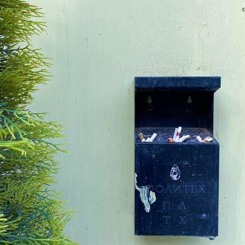 Фотография #13162665