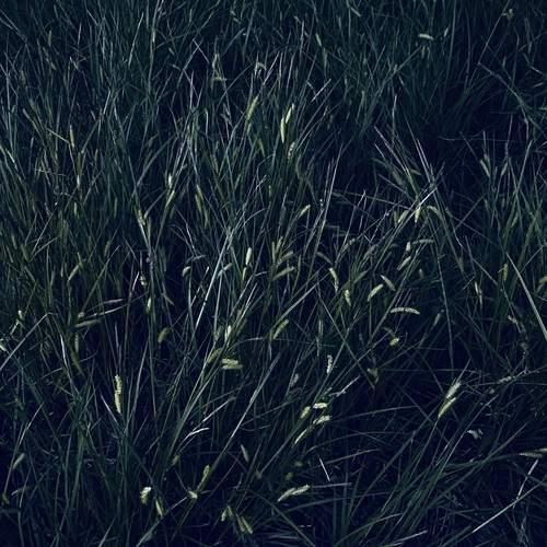 Фотография #13162670