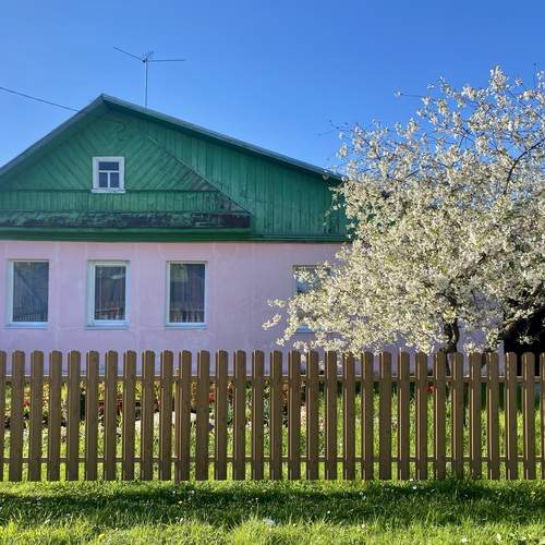 Фотография #13162671