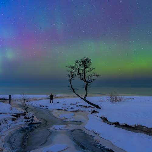 Photo #13162877