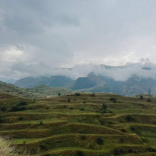 Photo #13162913