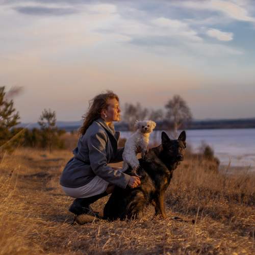 Photo #13163009