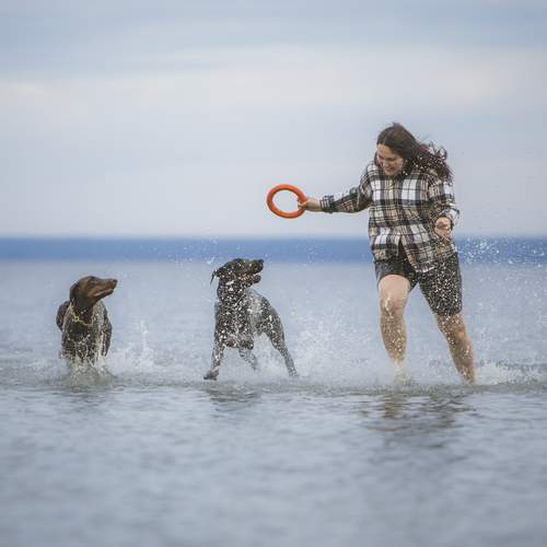 Photo #13163087