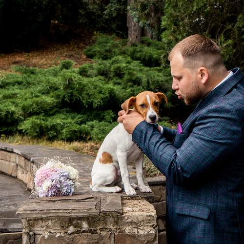 Photo #13163188