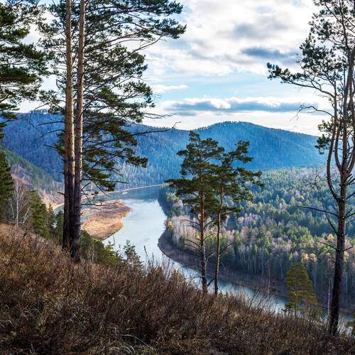 Photo #13163225