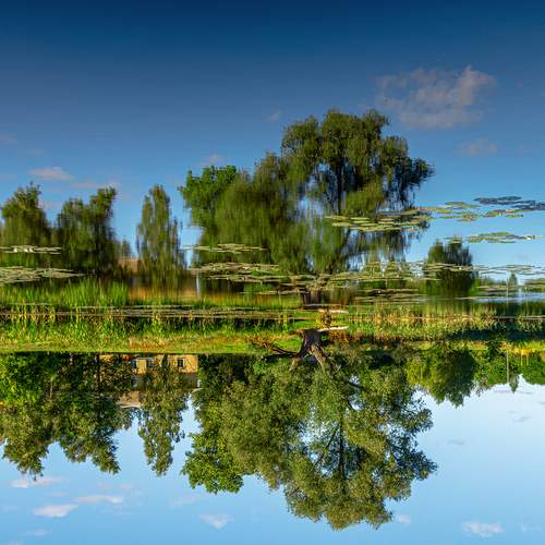 Перевернутая реальность