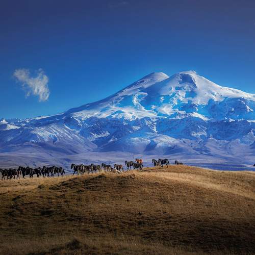 Фотография #13163339