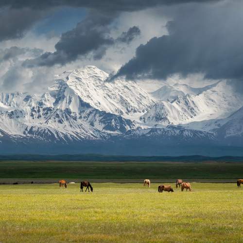 Фотография #13163429