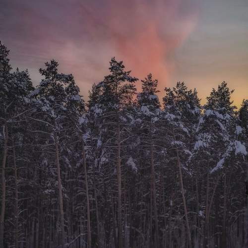 Фотография #13163544