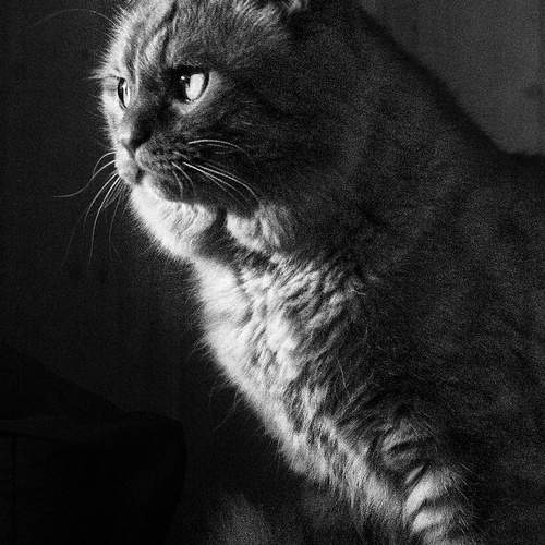 Photo #13163593