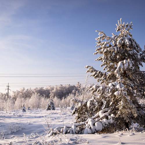 Photo #13163659
