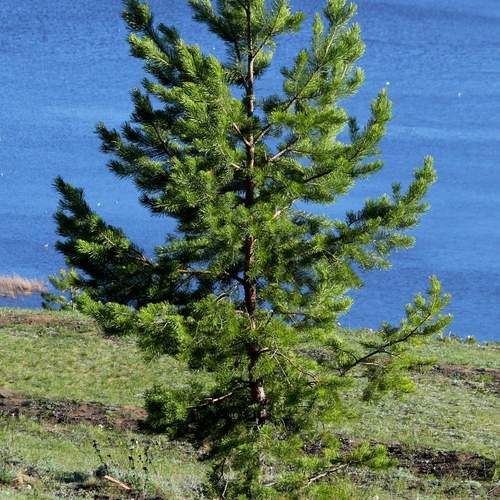 Фотография #13163667