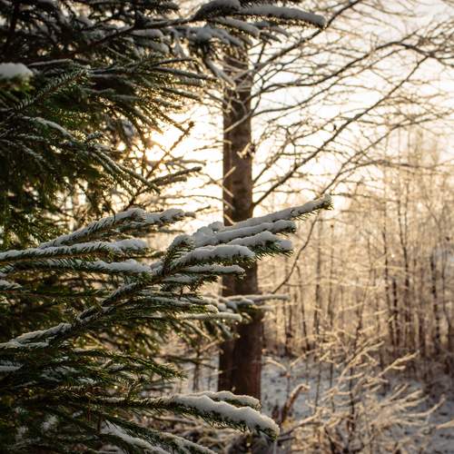 Photo #13163722