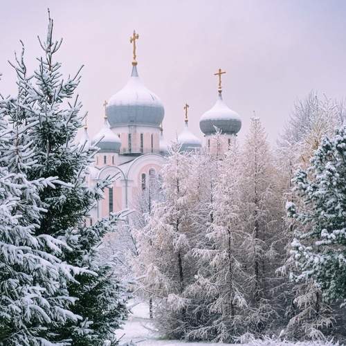 Photo #13163855