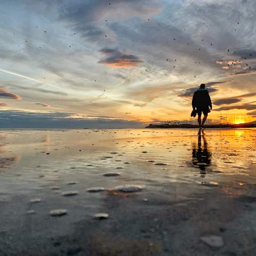 Photo #13163977