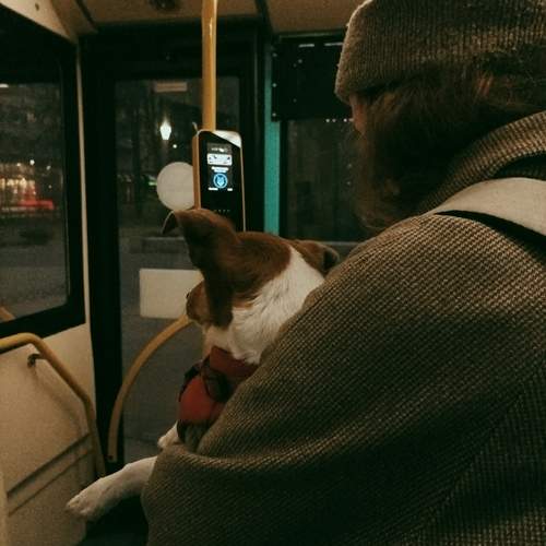 Photo #13164058