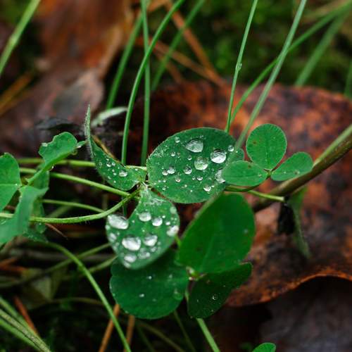 Photo #13164115