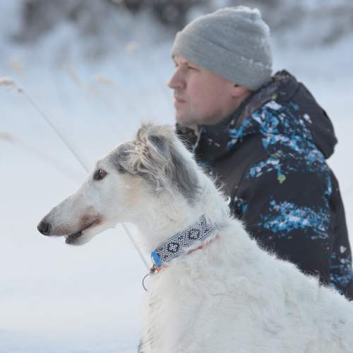 Photo #13164313