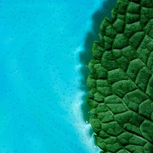 Фотография #13164355