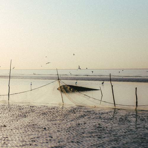 Photo #13164361