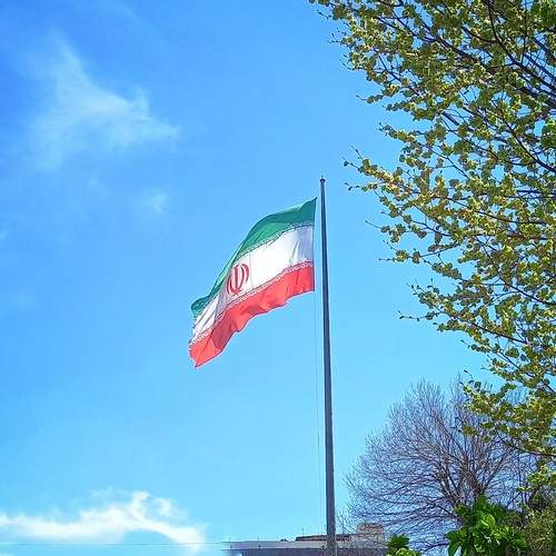 Photo #13164366