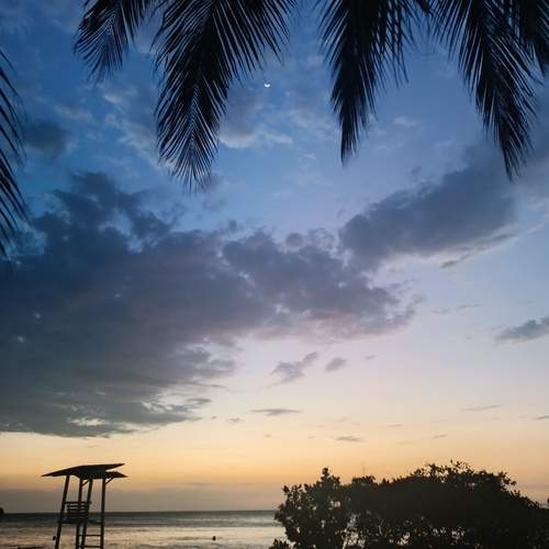 Photo #13164387