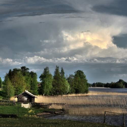 Photo #13164425