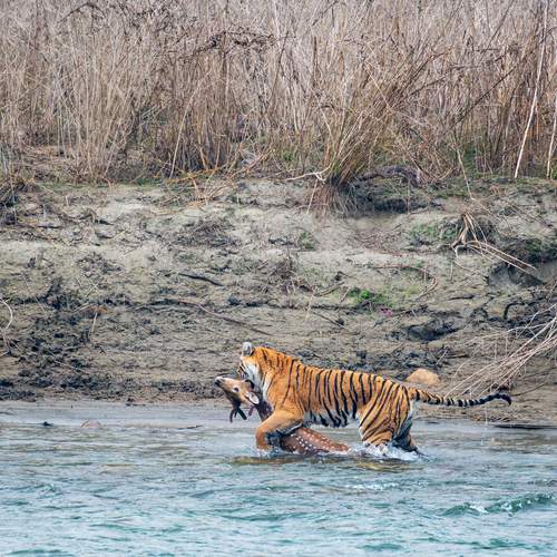 Photo #13164483