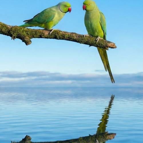 ​A Quiet Dialogue
