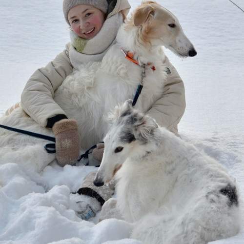 Photo #13164589