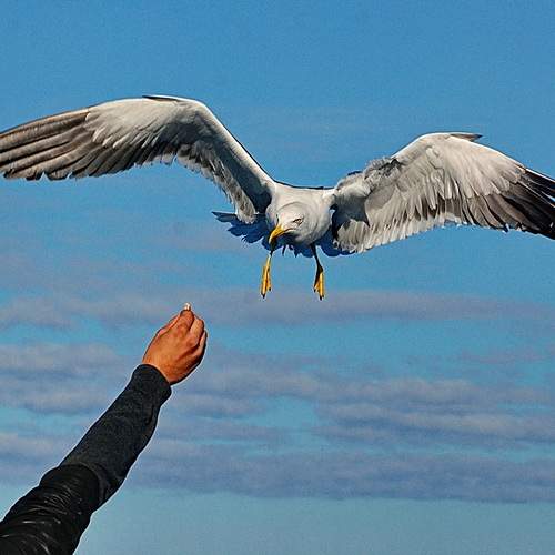 Photo #13164619