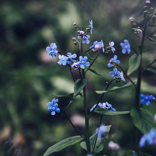 Фотография #13164645