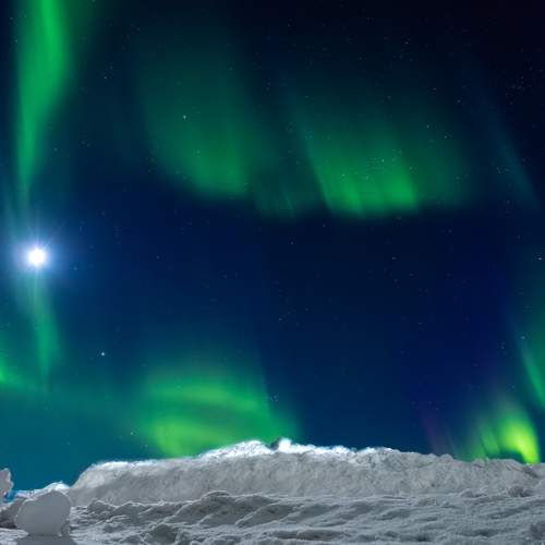 Photo #13164649