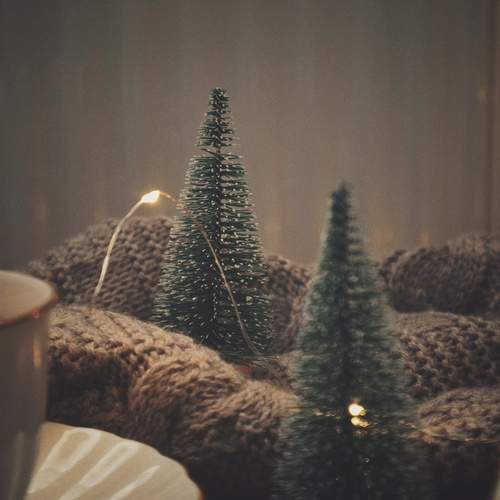 Photo #13164713