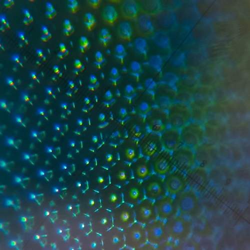 Photo #13164728
