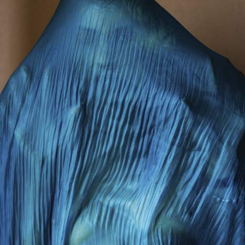 Photo #13164884
